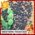 Chine Ningxia bon fournisseur fiable Black goji berry
